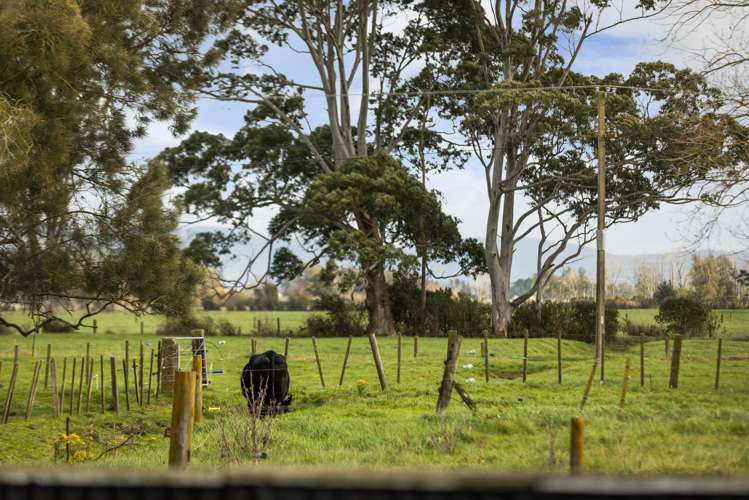 6356 State Highway 2 Paeroa_33