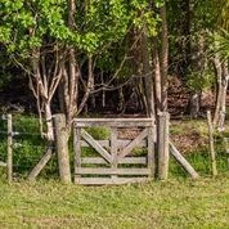 122 Albany Heights Road Albany Heights_22