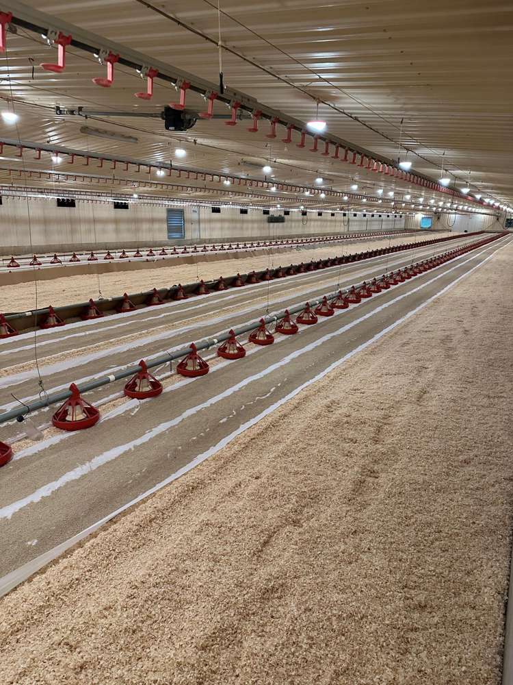 Address withheld Waikato_22