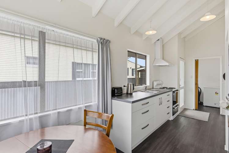 56 Wilton Street Levin_8