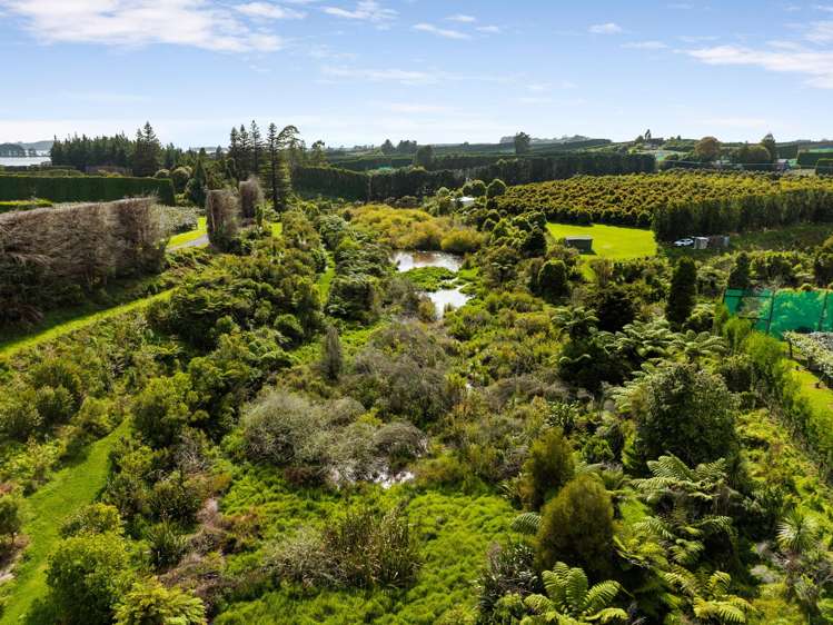 169 Tuapiro Road Katikati_6