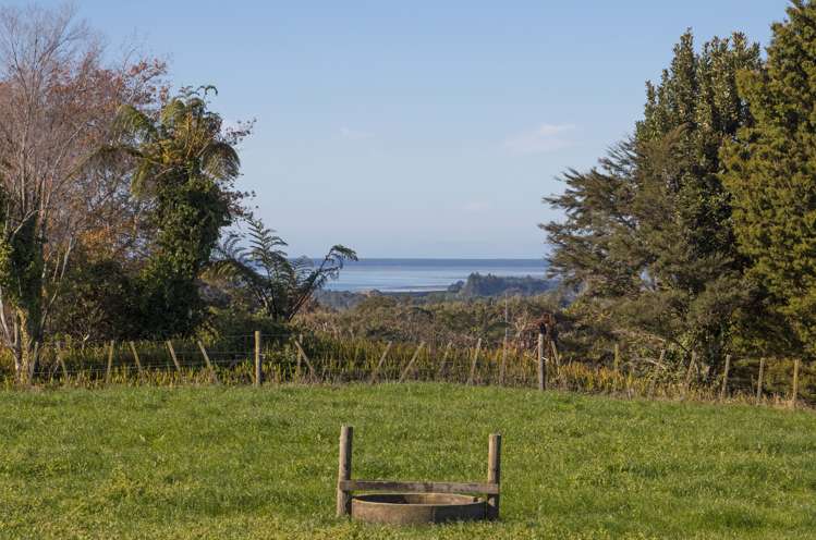 291 Rea Road Hauraki Surrounds_16