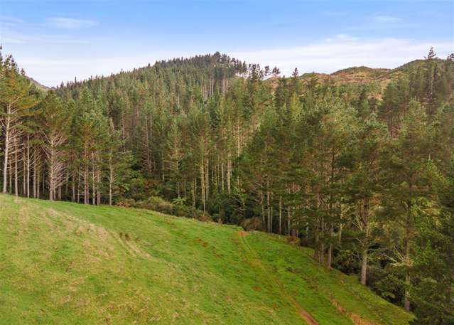 Waitete Road Waihi_3