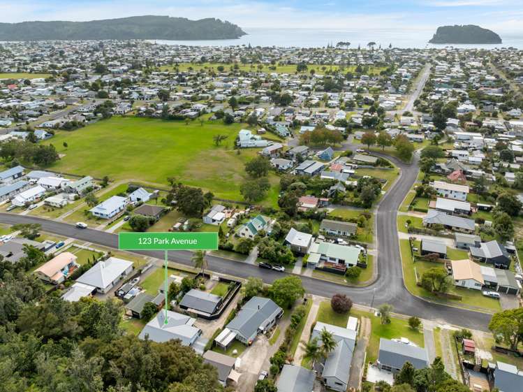123 Park Avenue Whangamata_30