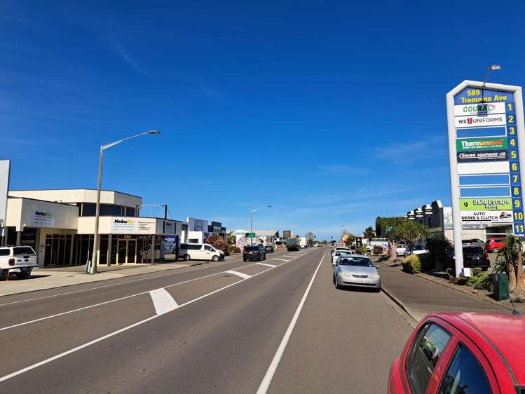 586 Tremaine Avenue Palmerston North_1