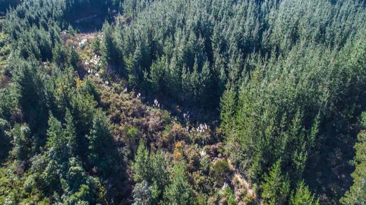 168 Seaton Valley Road Upper Moutere_8