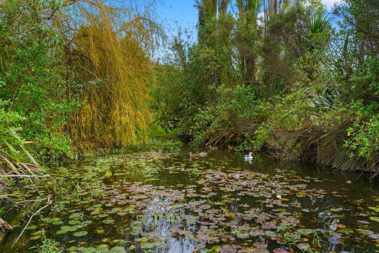 173b Tara Road Mangawhai_17