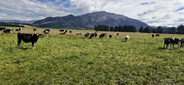 481 Camp Hill Road Hawea Flat_4