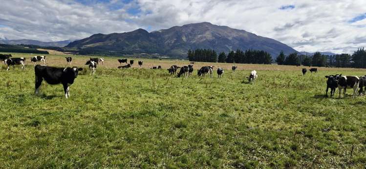 481 Camp Hill Road Hawea Flat_4