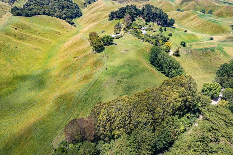 Lot 6/1005B Rangitatau East Road Kai Iwi_20