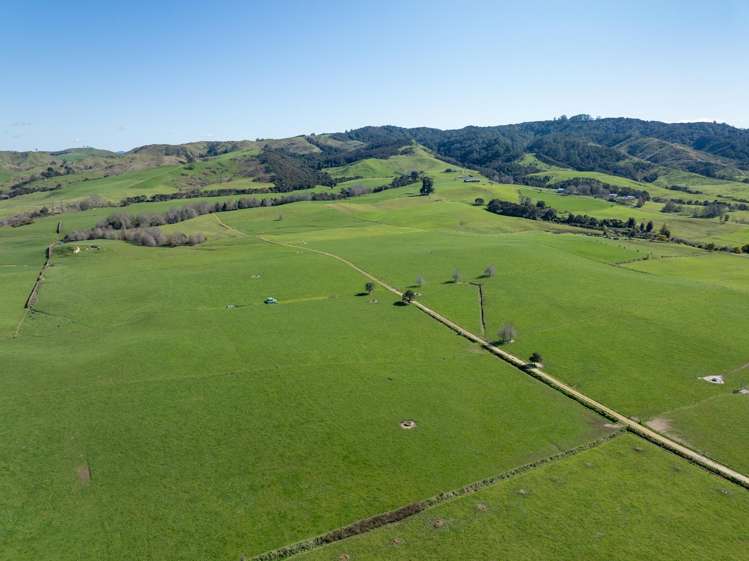 97 Herbert Road Morrinsville_16