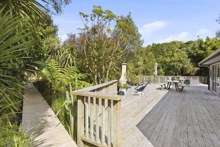 132 Maui Pomare Road Nikau Valley_6