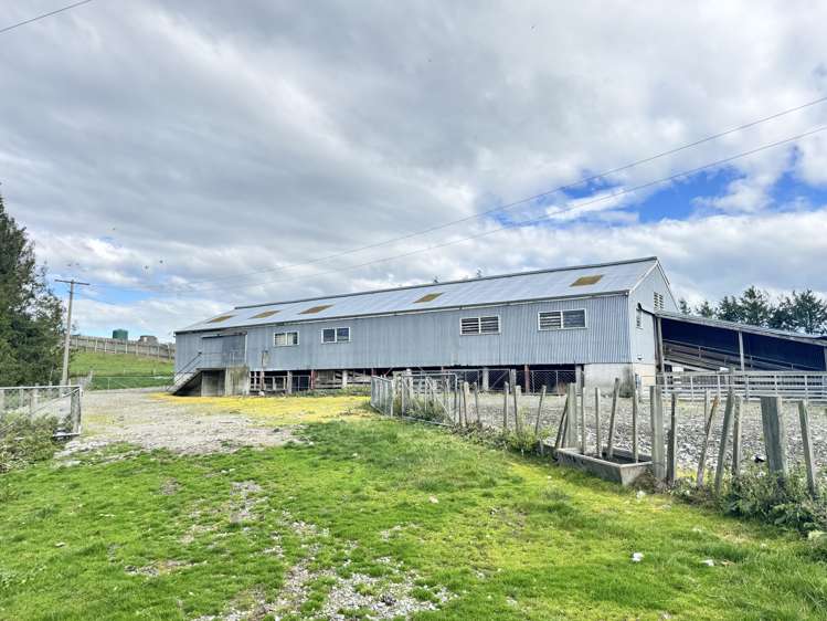 174 McCulloch Road Awamangu_19