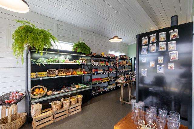 53 Latham Street Napier South_4