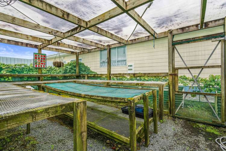 13 Jellicoe Road Ruawai_25