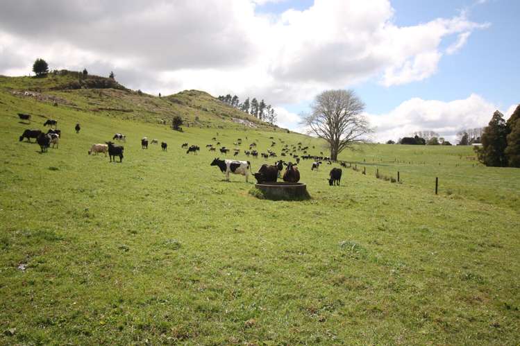664 Te Pua Road Kaikohe_5