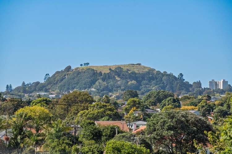 9a Keystone Avenue Mount Roskill_13