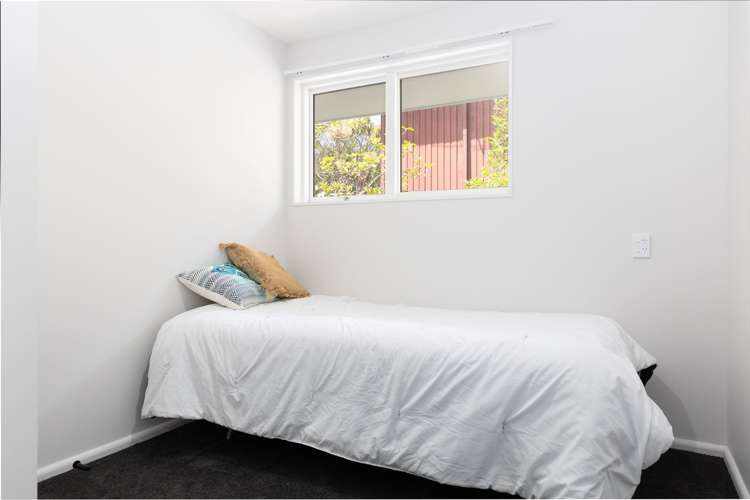 65 Colman Avenue Sockburn_11