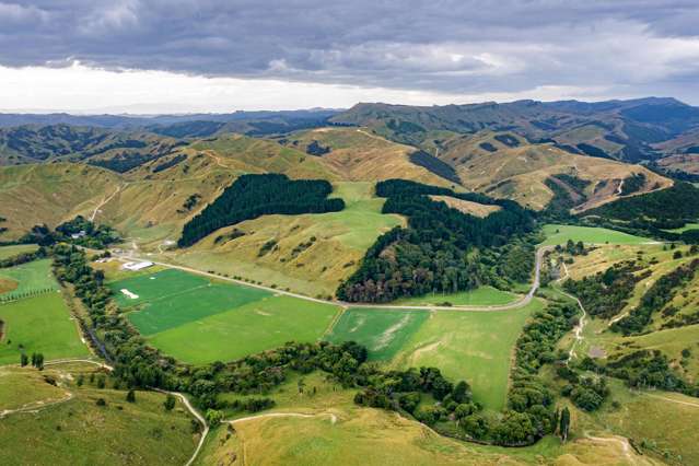 14645 Route 52 Alfredton_4