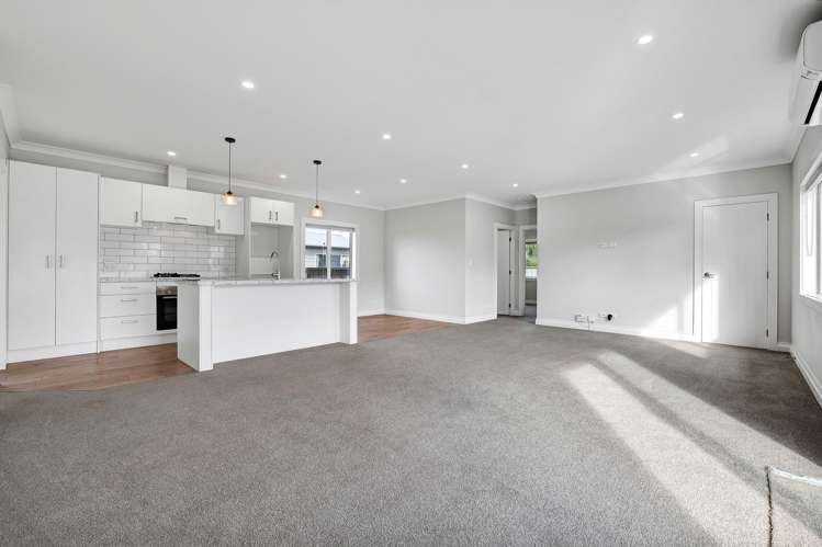 22 Hobson Street Normanby_9