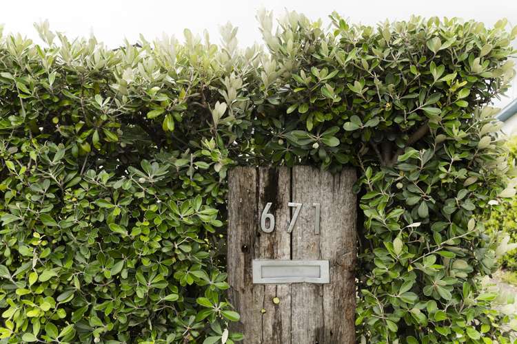 671 Aberdeen Road Te Hapara_19