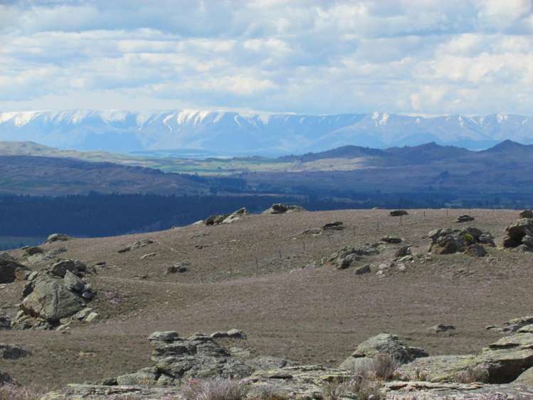 Tor Hill Road Conroys Gully_10