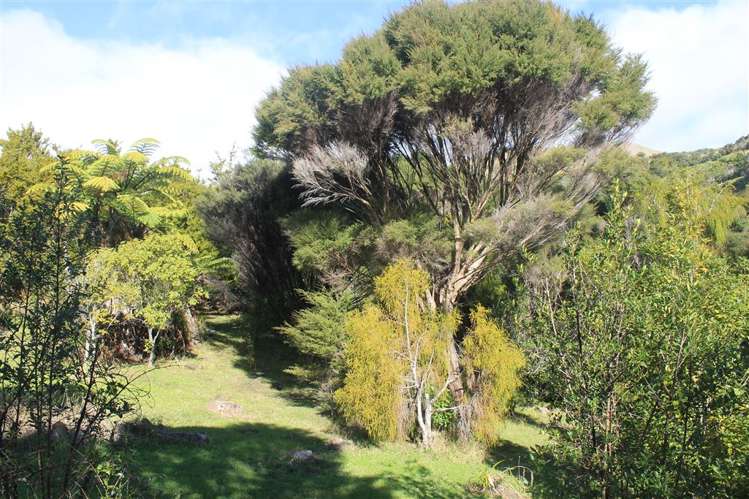 Wainui Road Whangaroa_7