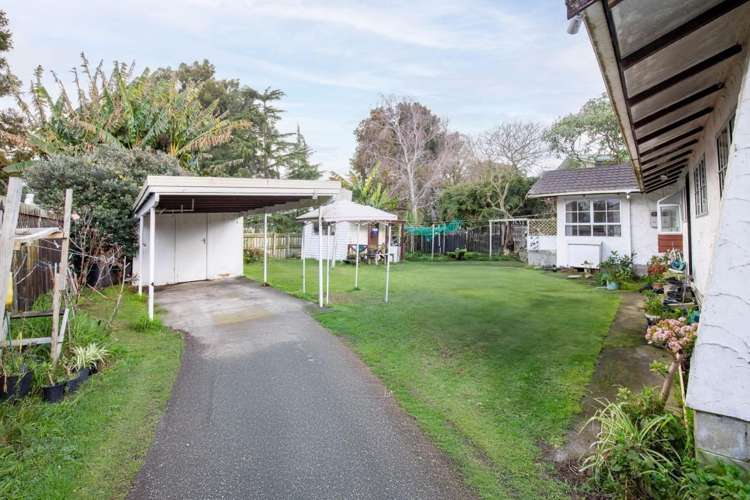 11 Hibiscus Avenue Hamilton Lake_14