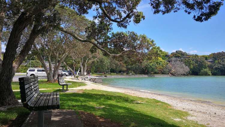 3a Pah Road Cockle Bay_4