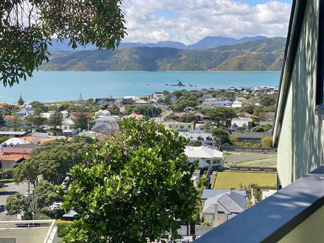 80 Tio Tio Road Seatoun_4