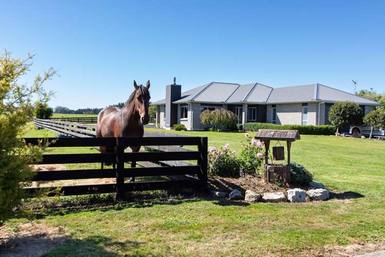 11 Adelaide Road Dannevirke_23