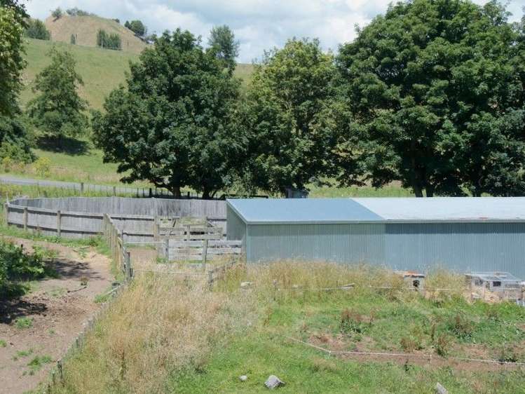 101 Papakai Road Taihape and Surrounds_24