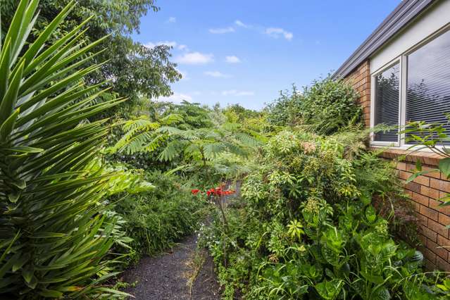 1 Twickenham Close Katikati_1