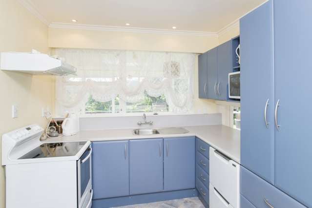 1029 Aberdeen Road Te Hapara_2