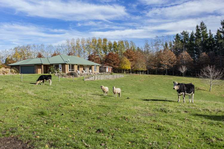 149 Parnassus Road Cheviot_12