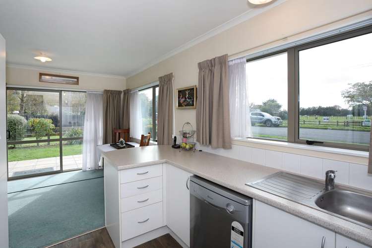 17 Johnson Street Bulls_6