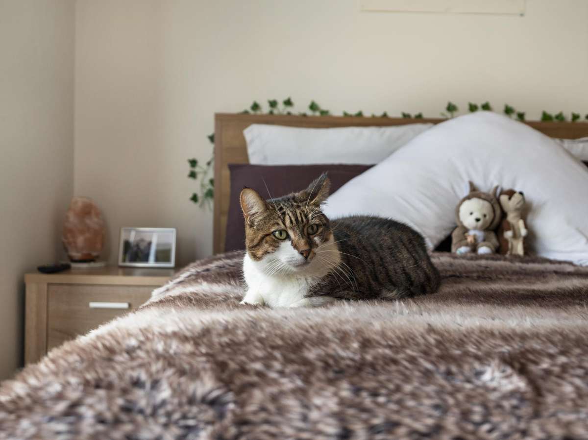 26 BATHURST CRESCENT_0