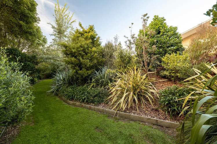 7B Ridge View Place Waihi_40