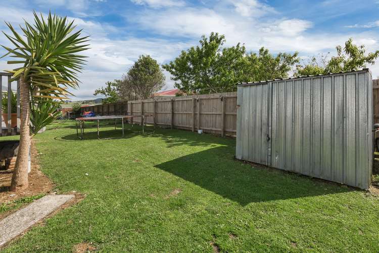 4 Paramount Parade Tikipunga_12