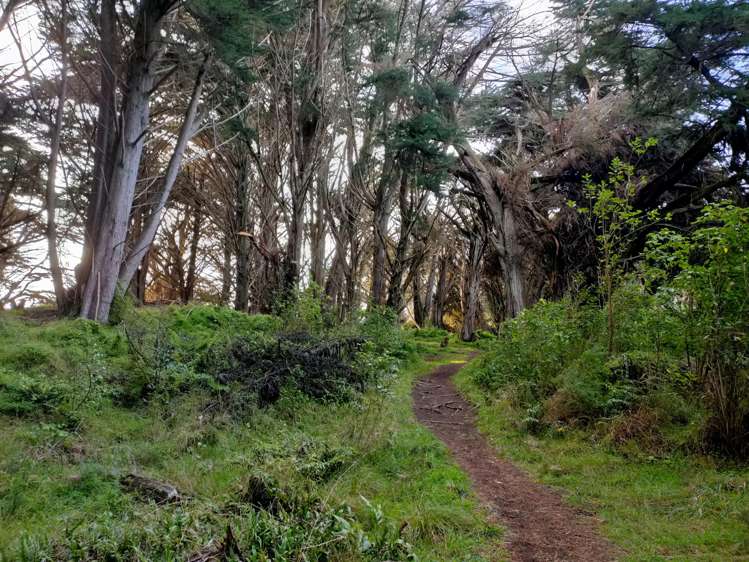 6 Kapiti Lane Otaki Beach_24