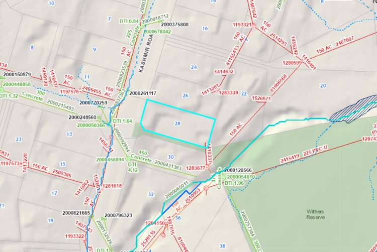 28 Kashmir Road Glen Eden_18