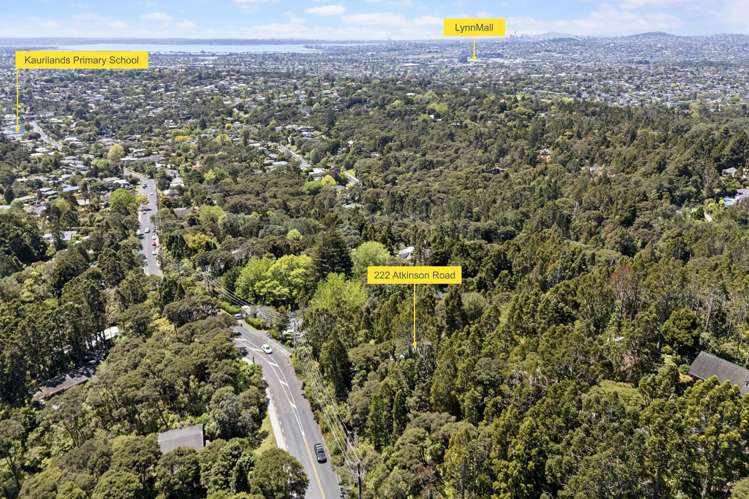 222 Atkinson Road Titirangi_27
