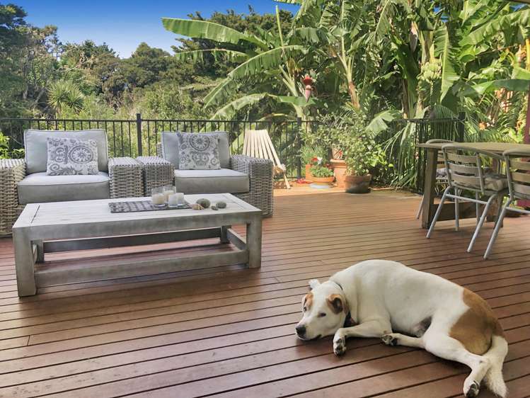 5a Lanark Road Kerikeri_0