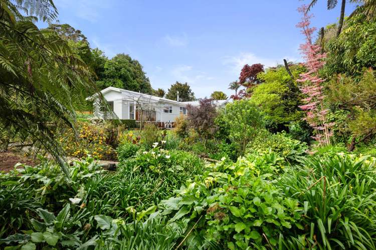 5b Wayne Place Ferndale_19