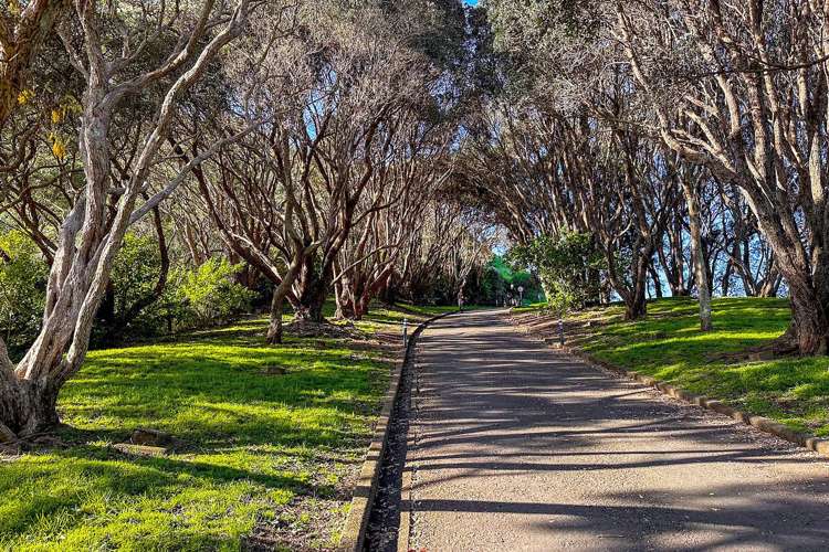 9 Clare Place Mount Wellington_31