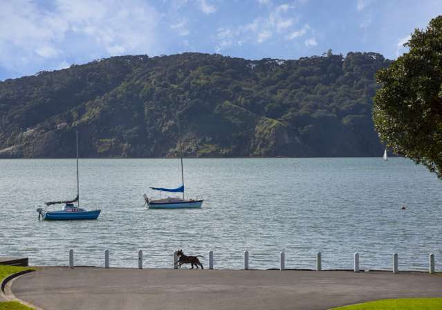 44 Lorenzen Bay Road Raglan_2