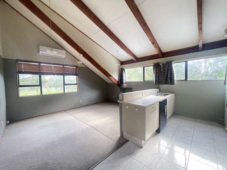491A Paremoremo Road 10892_2