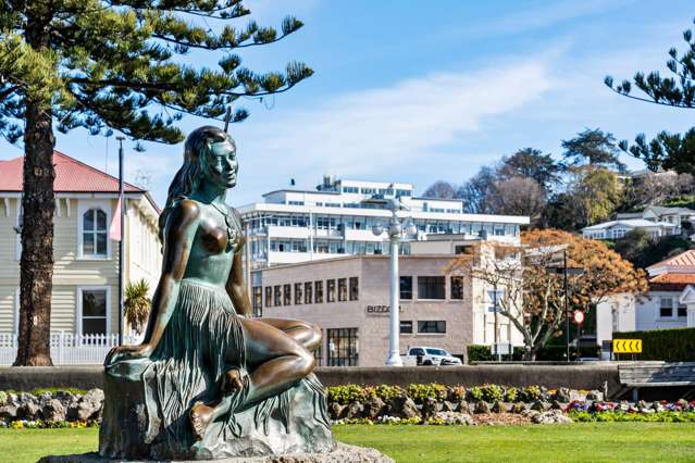 Heart of Napier - Penthouse and Income