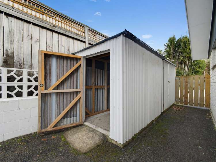 48A Domain Road Whakatane_6