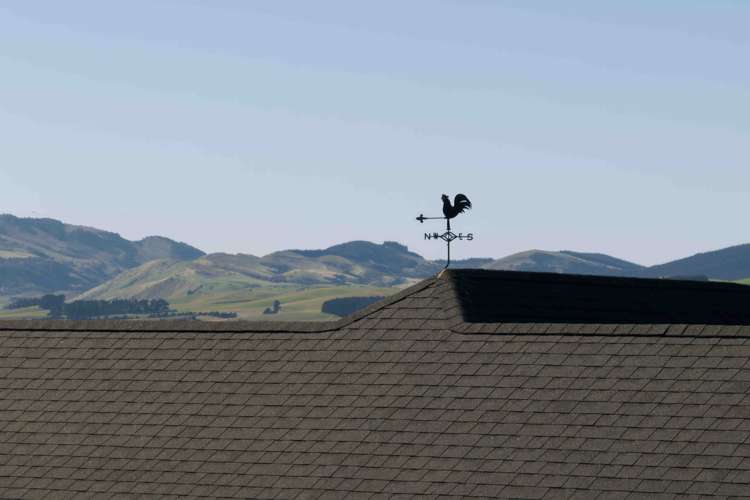 253b Reserve Road Balcairn_29